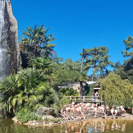 Charmante Maison Proche 펜션 로양